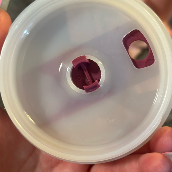 Azalea Stanley. Only used with water. Just not collecting Stanley’s anymore. - Picture 7 of 7